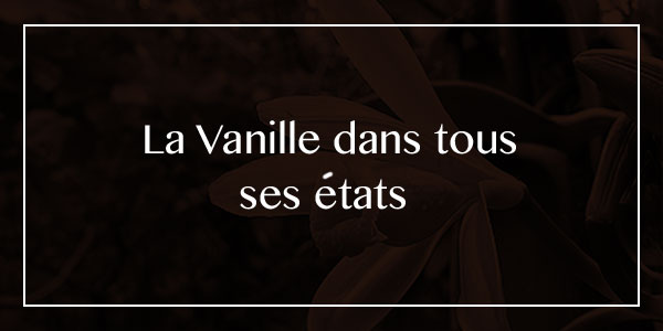 Histoire de Vanille, 100% Biologique - la vanille dans tous ses états