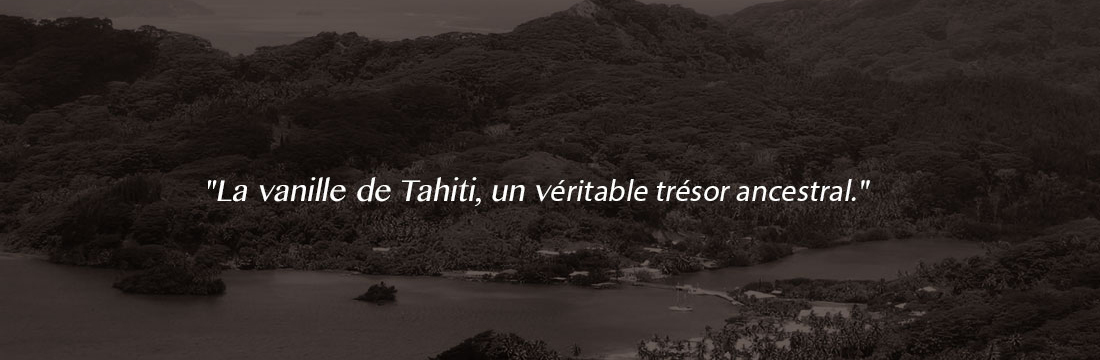 Histoire de Vanille, 100% Biologique - la vanille de Tahiti, un véritable trésor ancéstral